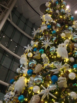 羽田空港クリスマスツリー