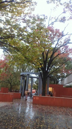 洗足音楽大学